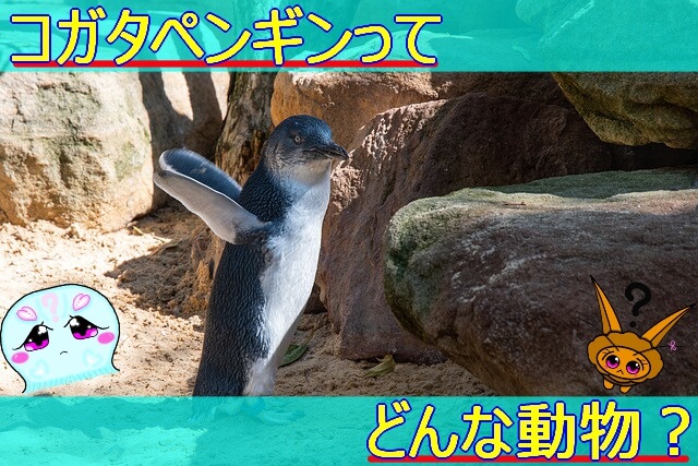 Thumbnail of post image 198